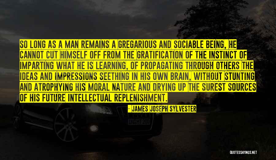 Sylvester Quotes By James Joseph Sylvester Sylvester Quotes By James Joseph Sylvester