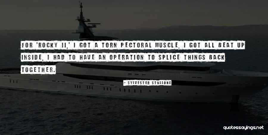 Sylvester Quotes By Sylvester Stallone Sylvester Quotes By Sylvester Stallone