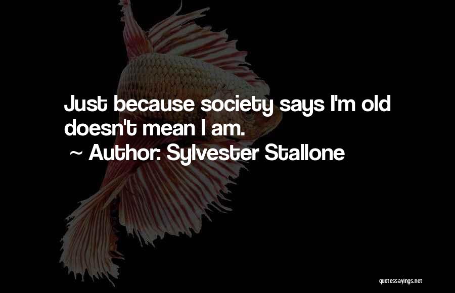 Sylvester Quotes By Sylvester Stallone