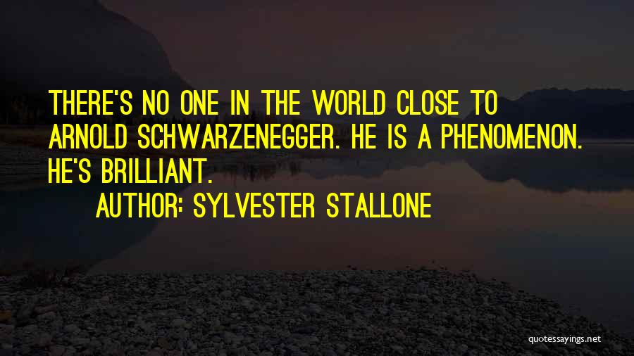 Sylvester Stallone Quotes 256926