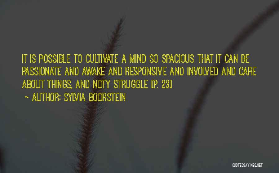 Sylvia Boorstein Quotes 2178900