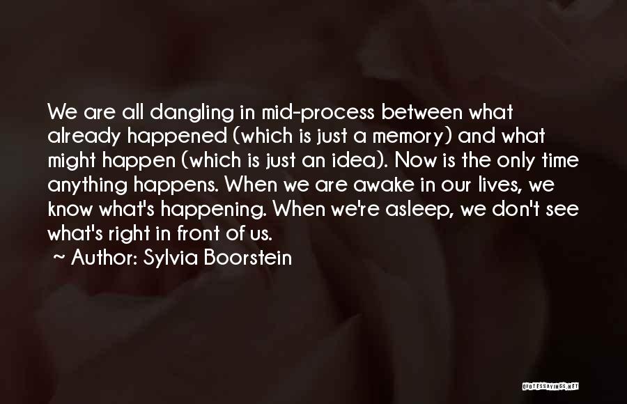 Sylvia Boorstein Quotes 578463