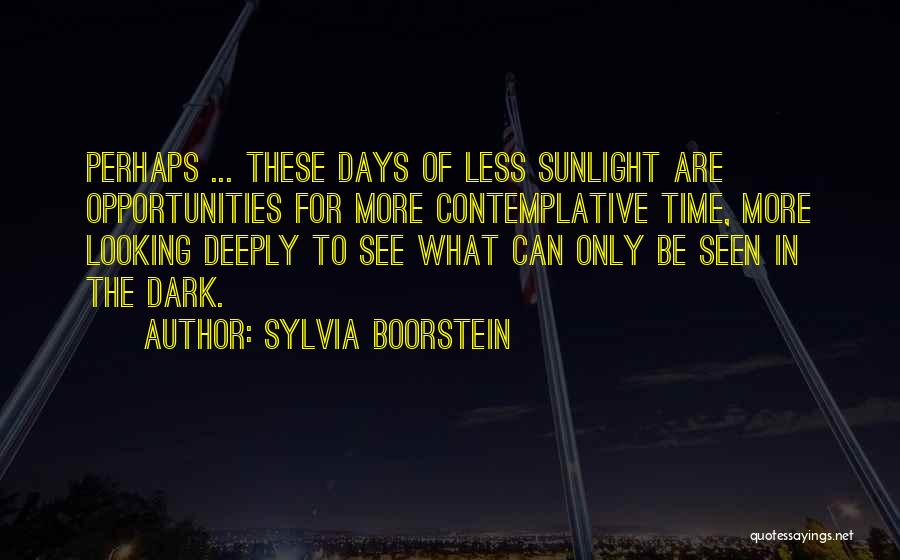 Sylvia Boorstein Quotes 740406