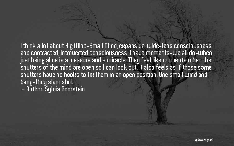 Sylvia Boorstein Quotes 750075