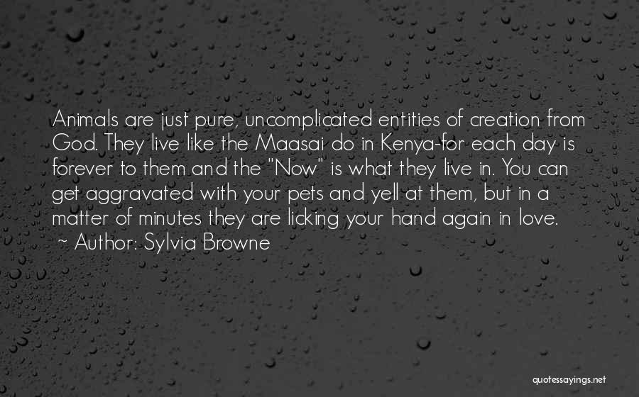 Sylvia Browne Quotes 1288911