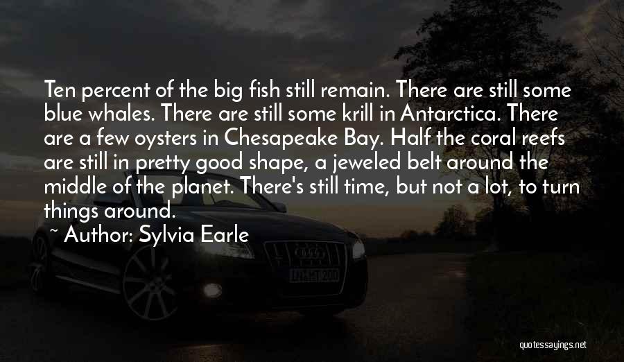 Sylvia Earle Quotes 450790