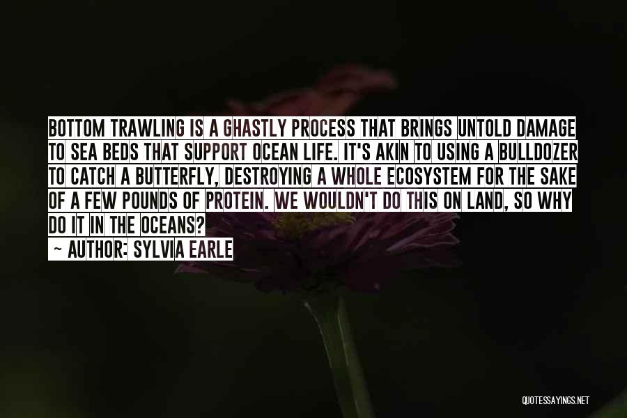 Sylvia Earle Quotes 680830