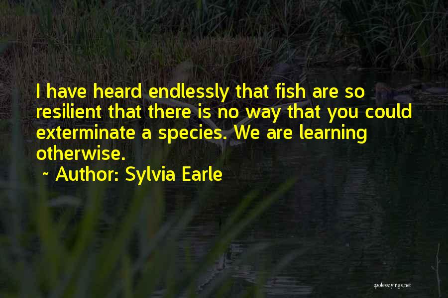 Sylvia Earle Quotes 685859