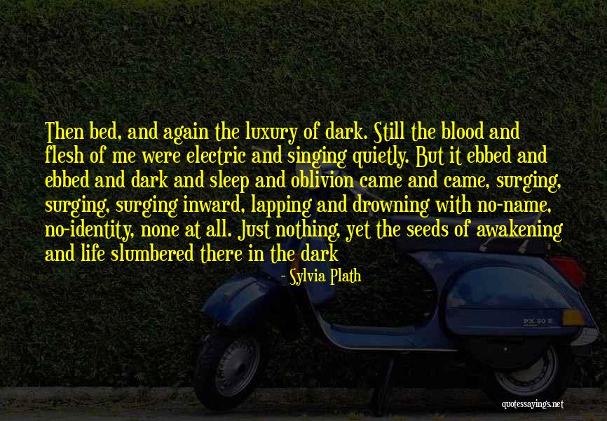 Sylvia Plath Quotes 360927 Sylvia Plath Quotes 360927