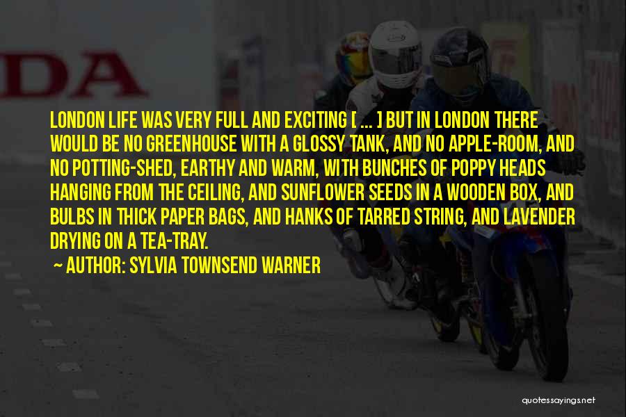 Sylvia Townsend Warner Quotes 315955