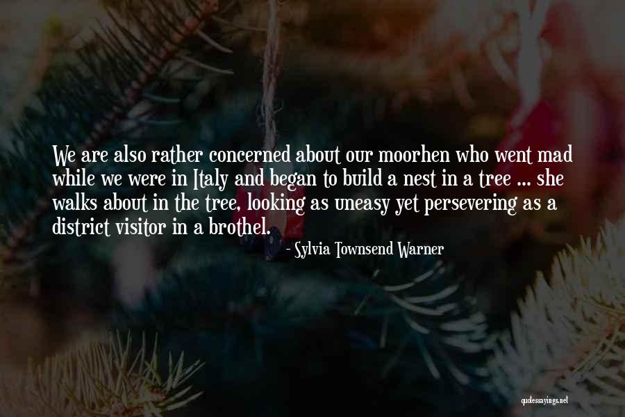 Sylvia Townsend Warner Quotes 620012 Sylvia Townsend Warner Quotes 620012