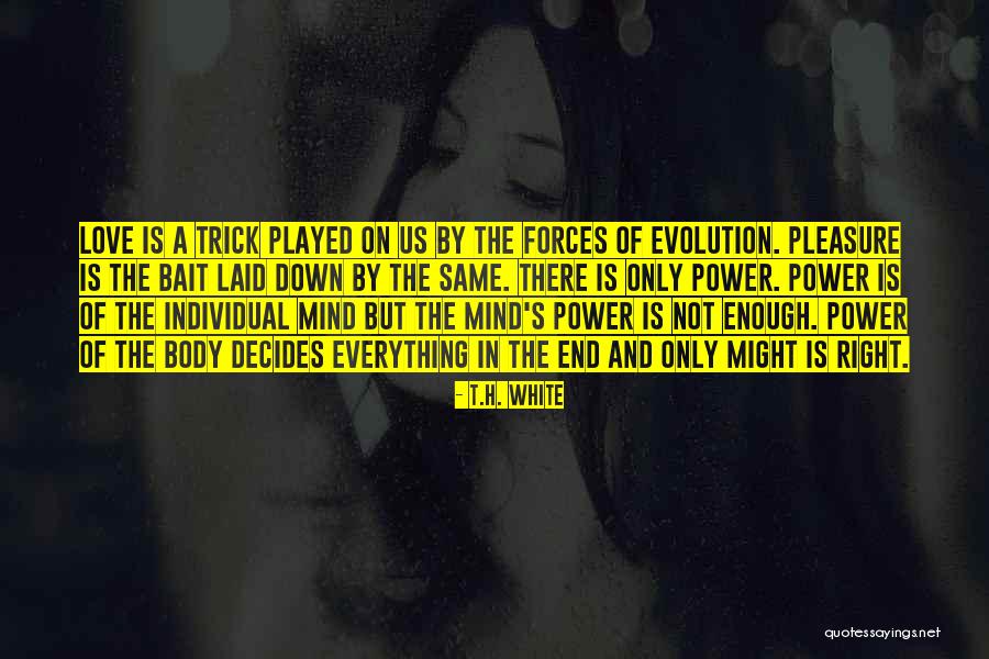 Sylvine Pickel Chevalier Quotes By T.H. White Sylvine Pickel Chevalier Quotes By T.H. White