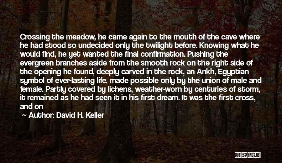 Symbol Of Life Quotes By David H. Keller