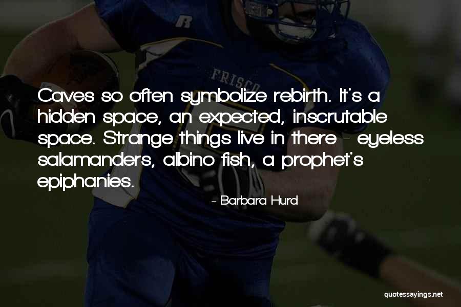 Symbolize Quotes By Barbara Hurd Symbolize Quotes By Barbara Hurd