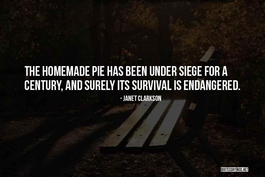 Symbolizing Synonym Quotes By Janet Clarkson Symbolizing Synonym Quotes By Janet Clarkson