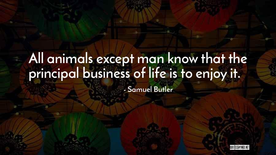Symbolizing Synonym Quotes By Samuel Butler Symbolizing Synonym Quotes By Samuel Butler