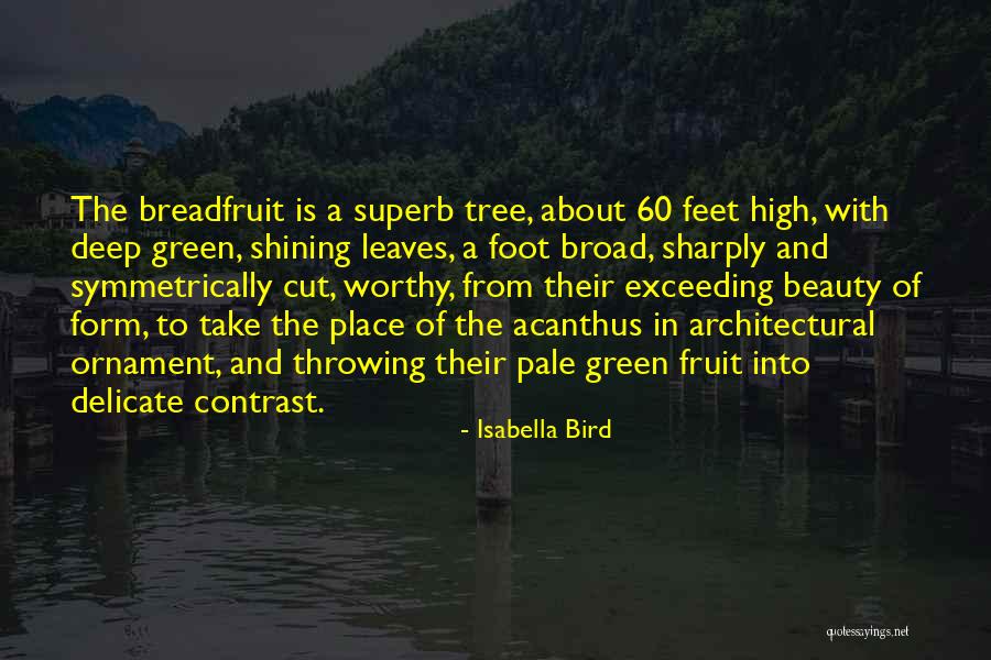 Symmetrically Quotes By Isabella Bird Symmetrically Quotes By Isabella Bird