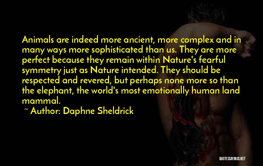 Symmetry In Nature Quotes By Daphne Sheldrick