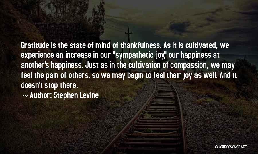 Sympathetic Joy Quotes By Stephen Levine