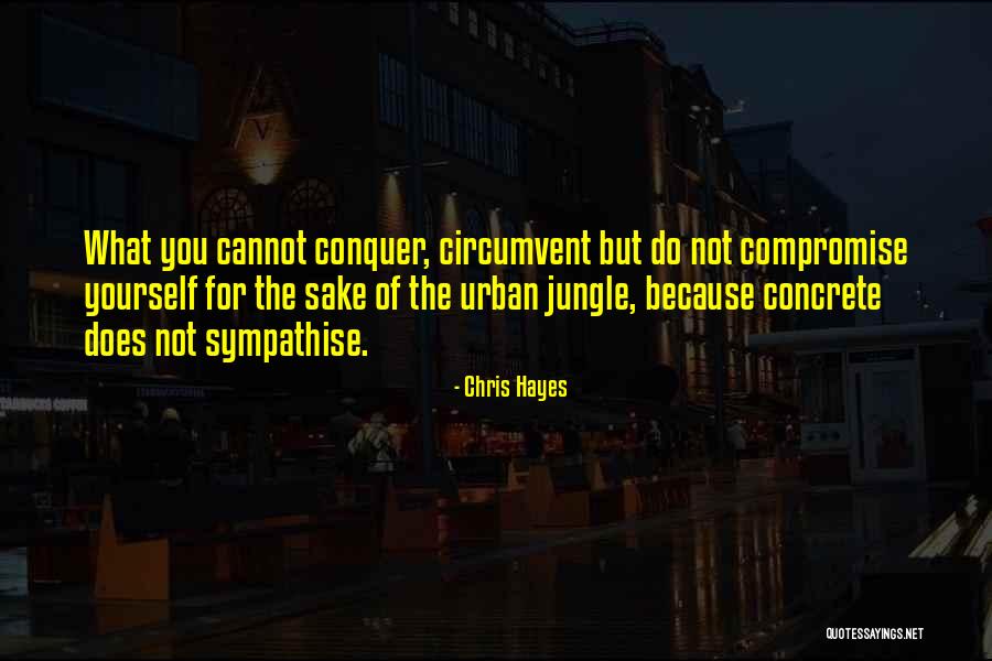 Sympathise Quotes By Chris Hayes Sympathise Quotes By Chris Hayes