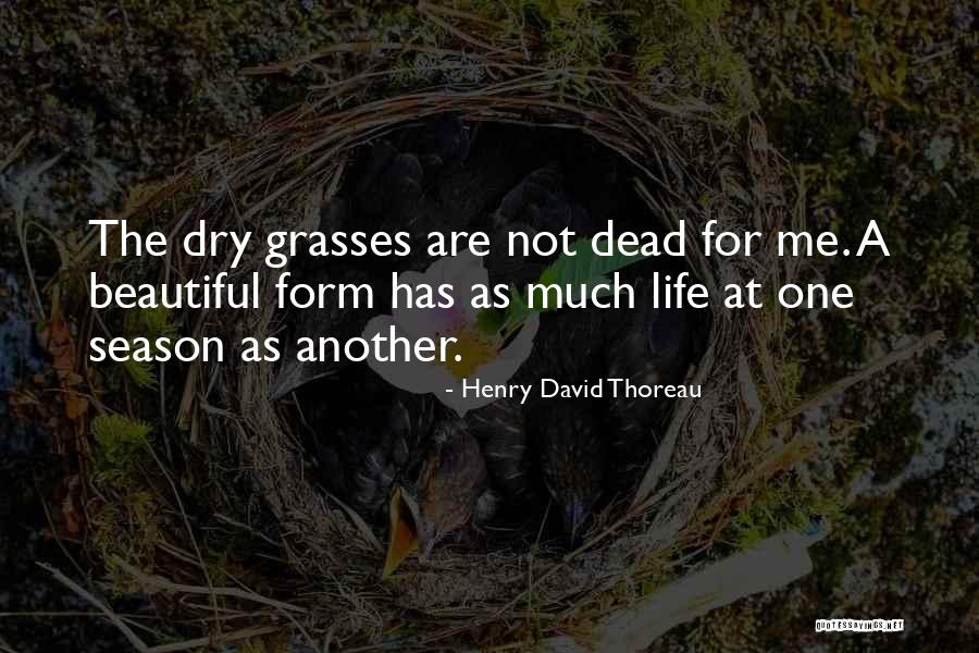 Sympathized In A Sentence Quotes By Henry David Thoreau Sympathized In A Sentence Quotes By Henry David Thoreau