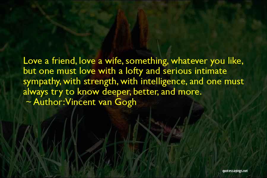 Sympathy For A Friend Quotes By Vincent Van Gogh