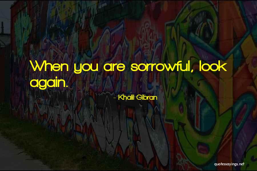 Sympathy For Death Quotes By Khalil Gibran