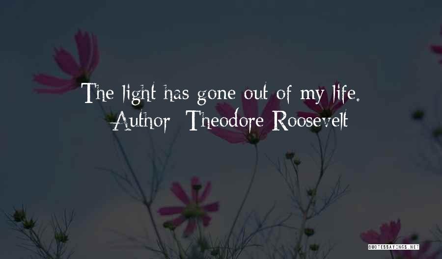 Sympathy For Your Loss Quotes By Theodore Roosevelt