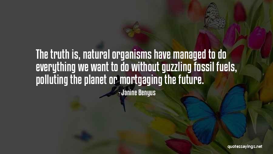 Sympatia Randki Quotes By Janine Benyus Sympatia Randki Quotes By Janine Benyus