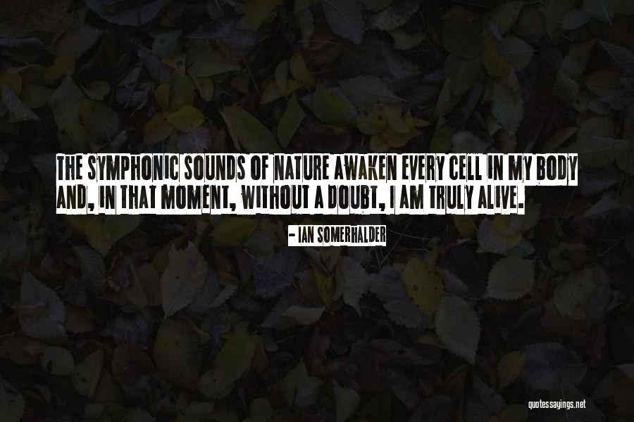 Symphonic Quotes By Ian Somerhalder Symphonic Quotes By Ian Somerhalder