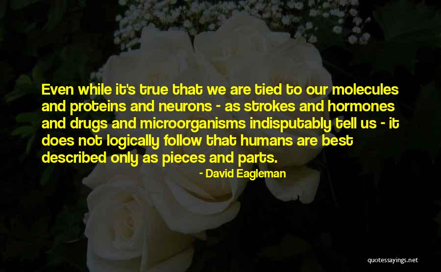 Symplectic Matrix Quotes By David Eagleman Symplectic Matrix Quotes By David Eagleman