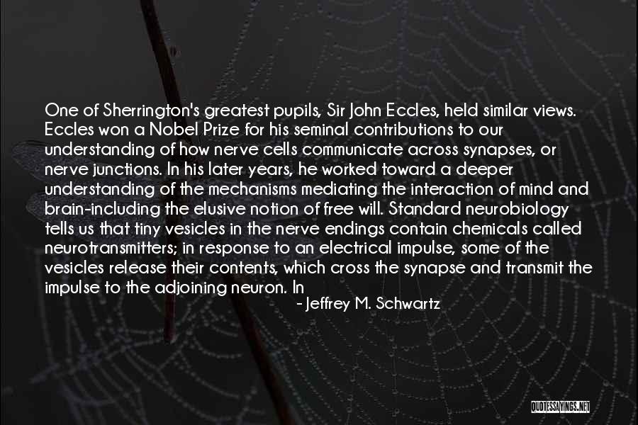 Synapse Quotes By Jeffrey M. Schwartz