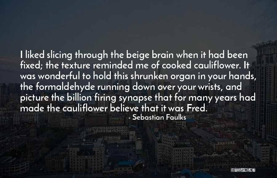 Synapse Quotes By Sebastian Faulks