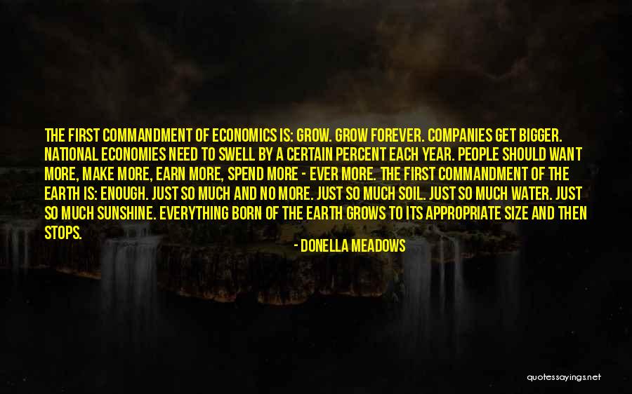 Synchrodestiny Quotes By Donella Meadows Synchrodestiny Quotes By Donella Meadows