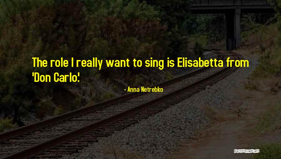 Syndicaism Quotes By Anna Netrebko