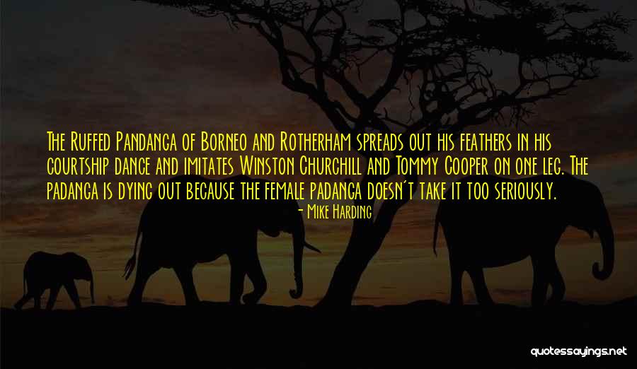 Syndicaism Quotes By Mike Harding