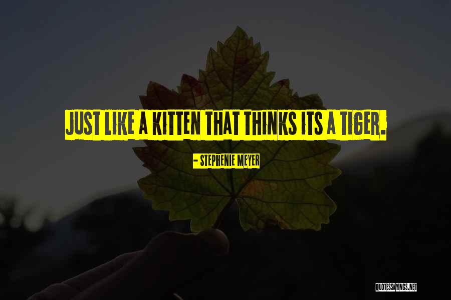 Syndle Karr Quotes By Stephenie Meyer Syndle Karr Quotes By Stephenie Meyer