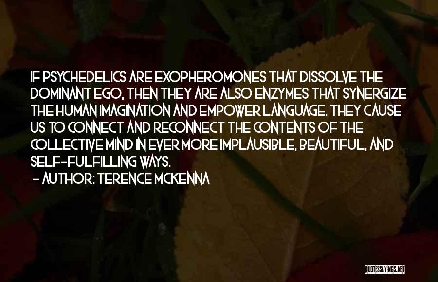 Synergize Quotes By Terence McKenna