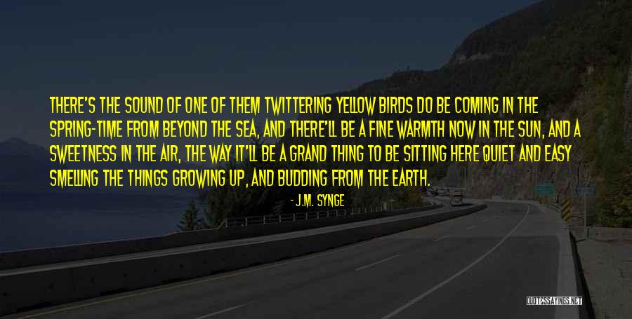 Synge Quotes By J.M. Synge Synge Quotes By J.M. Synge