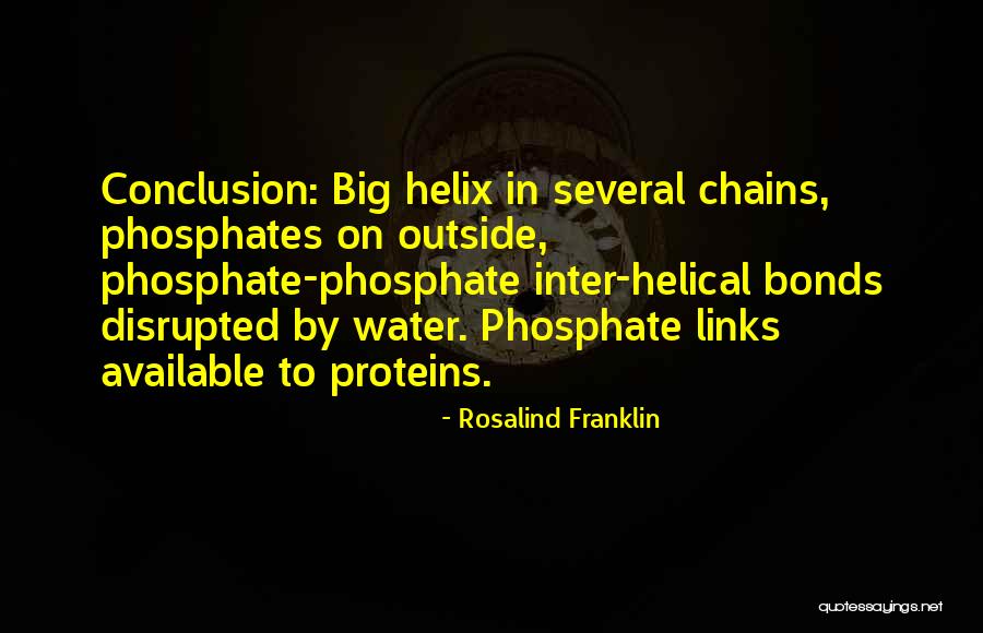 Synnes Dining Quotes By Rosalind Franklin Synnes Dining Quotes By Rosalind Franklin