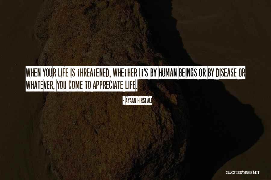 Synthese De Document Quotes By Ayaan Hirsi Ali Synthese De Document Quotes By Ayaan Hirsi Ali