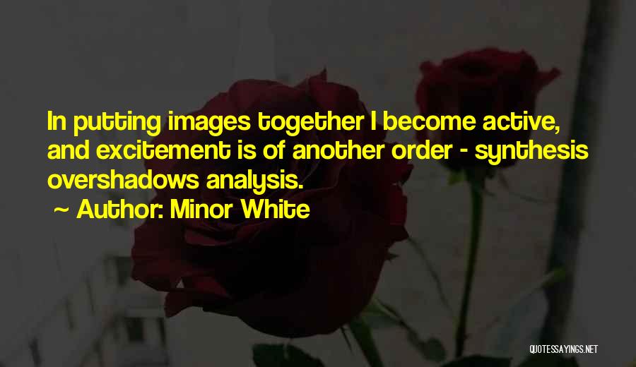 Synthesis Quotes By Minor White