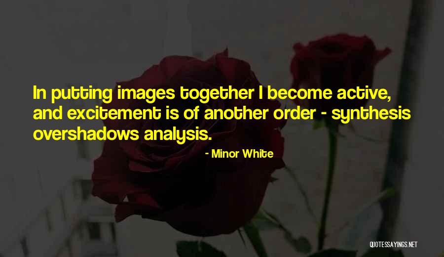 Synthesis Quotes By Minor White