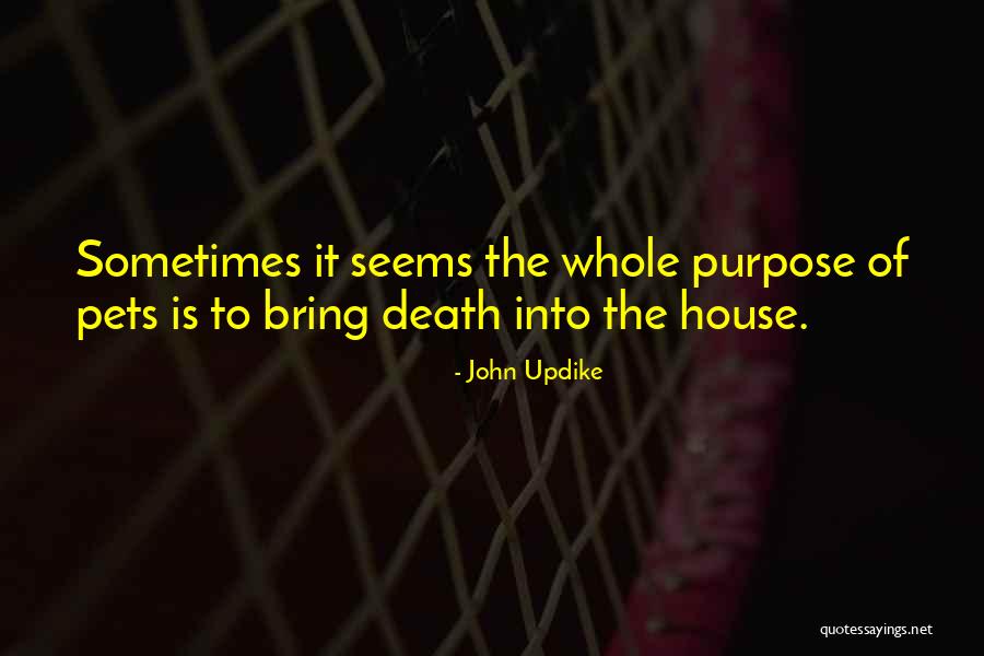 Synthesizing Information Quotes By John Updike Synthesizing Information Quotes By John Updike