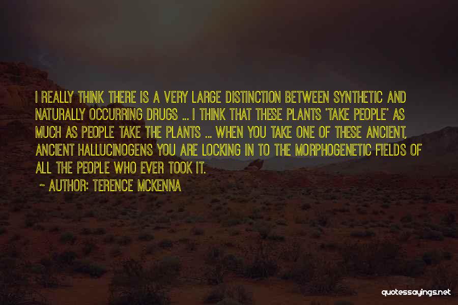 Synthetic Quotes By Terence McKenna