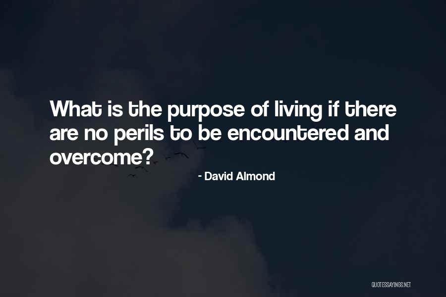 Sypert Impactors Quotes By David Almond Sypert Impactors Quotes By David Almond