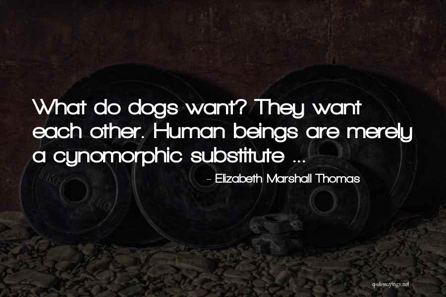 Syria Map Quotes By Elizabeth Marshall Thomas Syria Map Quotes By Elizabeth Marshall Thomas