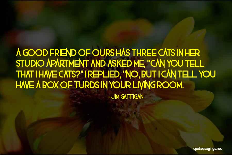 Syrokomla Lt Quotes By Jim Gaffigan Syrokomla Lt Quotes By Jim Gaffigan
