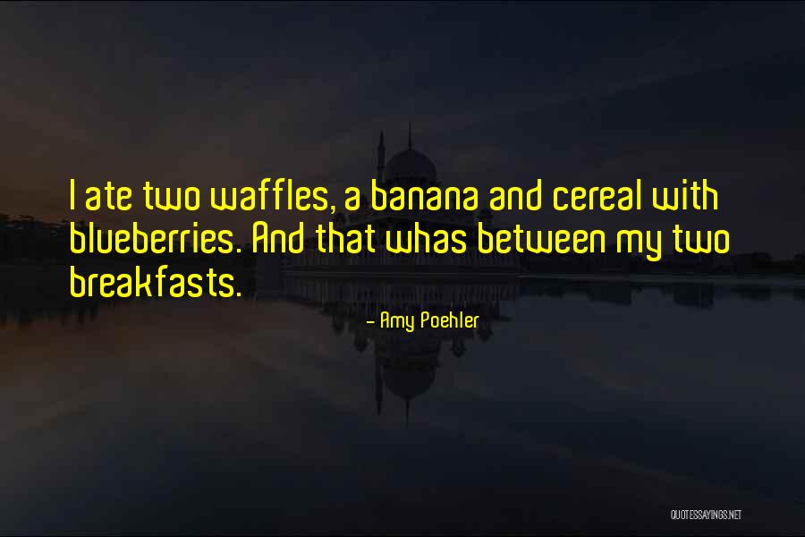 Syslogic Quotes By Amy Poehler Syslogic Quotes By Amy Poehler