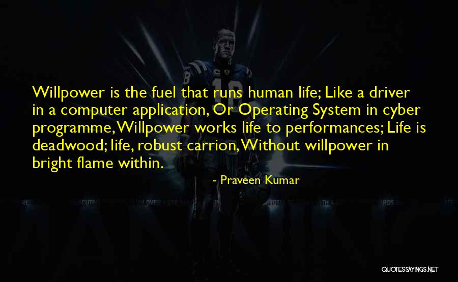 System And Application Quotes By Praveen Kumar